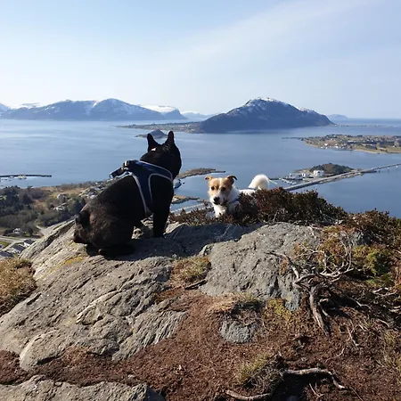 Naer Flyplass Og Alesund Sentrum