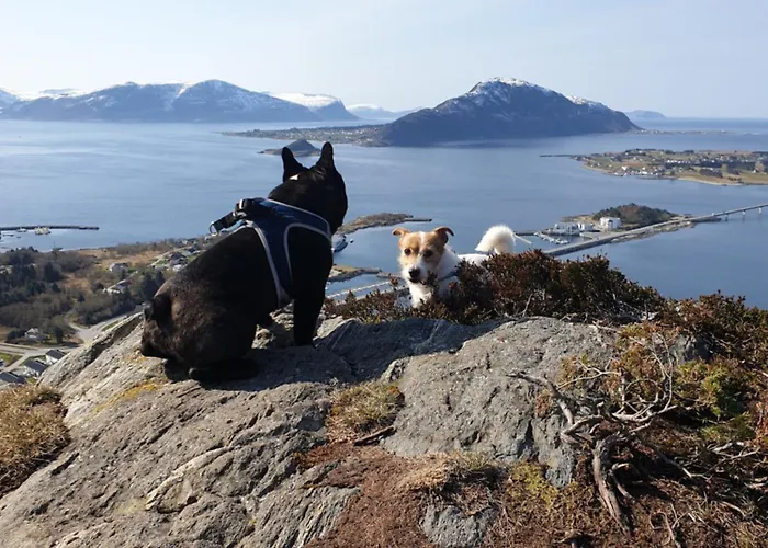 Naer Flyplass Og Alesund Sentrum